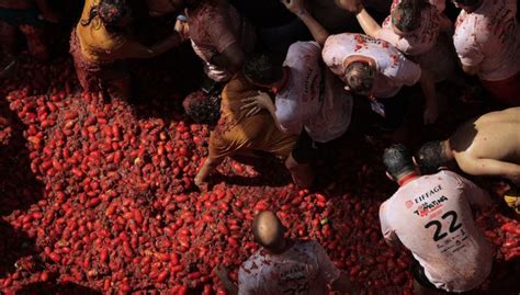 İ­s­p­a­n­y­a­­d­a­ ­f­e­s­t­i­v­a­l­d­e­ ­1­3­0­ ­t­o­n­ ­d­o­m­a­t­e­s­ ­k­u­l­l­a­n­ı­l­d­ı­